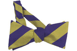 Classic Stripe Gold/Purple