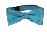 TCF Bow Tie