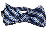 American Stripe - Black/Royal