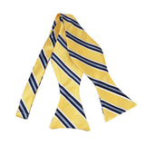 Steel Blue and Dark Navy on Light Yellow Repp Stripe Woven Self Tie Bow Tie